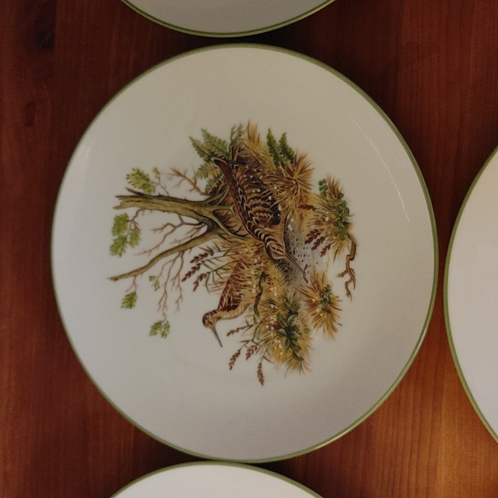 6 Bareuther Waldsassen Wildlife Transferware Porcelain Luncheon Plates - Picture 4 of 17